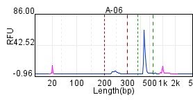 TA-ligated_efficiency_dynegene